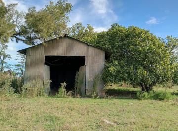 Campo · 3020000ha · Venta Campo en Comandante Giribone Chascomús 302 Ha