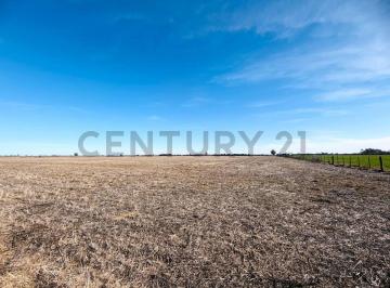 Campo · 34m² · Campo Agrícola | 34 Hectáreas Productivas. Melincué