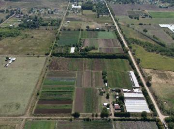 Campo · 80ha · Venta Campo 7,8 Has Av Allan y 639. F. Varela