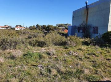 Foto · Lote Terreno a La Venta - La Lobería