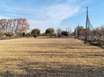 Terreno · 6291m² · Fracción de 6.291 m² en Venta – Rivadavia, Mendoza