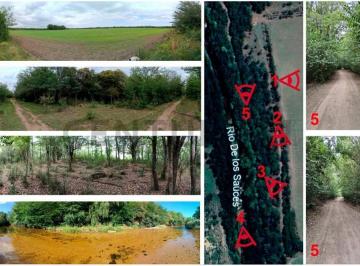 Terreno · 50010m² · Excepcional Fracción de 5 Hectáreas con 500 m de Costa de Río – Ideal Desarrollo Turístico o Chacra