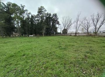 TYK-TYK-359_2 · Lote. | Mar del Plata Al S00