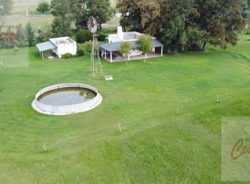 Campo · 100ha · Loteo Aprobado de 24 Lotes con Propiedad a La Venta. Ideal Inversor. Sobre Calle S/n Km 71.500