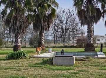Quinta vacacional · 10681m² · 3 Ambientes · Venta Quinta con Pileta y Gran Parque en Chacras del Alba Cañuelas
