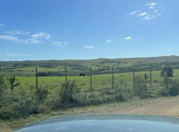 Campo · 25000ha · Hermosa Chacra de 2,5has en José Ignacio - Venta