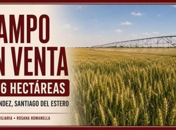 Campo · Campo - Santiago del Estero