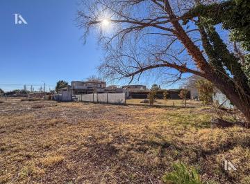 Terreno · 1000m² · Lote - Venta - Premium 1.000 m² - Barrio Privado Las Catalpas — Chacras de Coria - Luján de Cuyo - Men