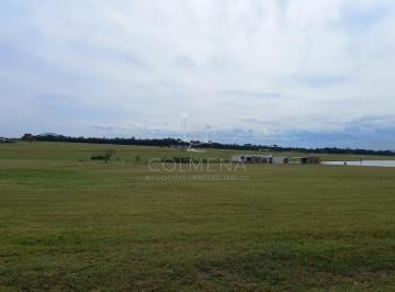Foto1 · Terreno en Punta Ballena, Laguna de Los Cisnes