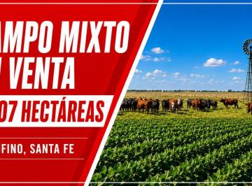 Campo · Campo - Rufino