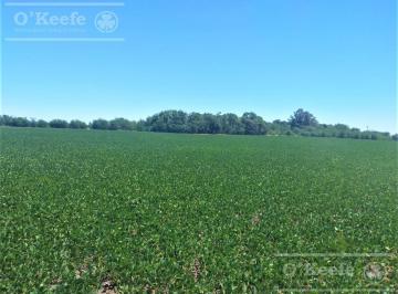 Campo · 1060000ha · Campo en Venta Mixto en Chivilcoy de 106 Ha