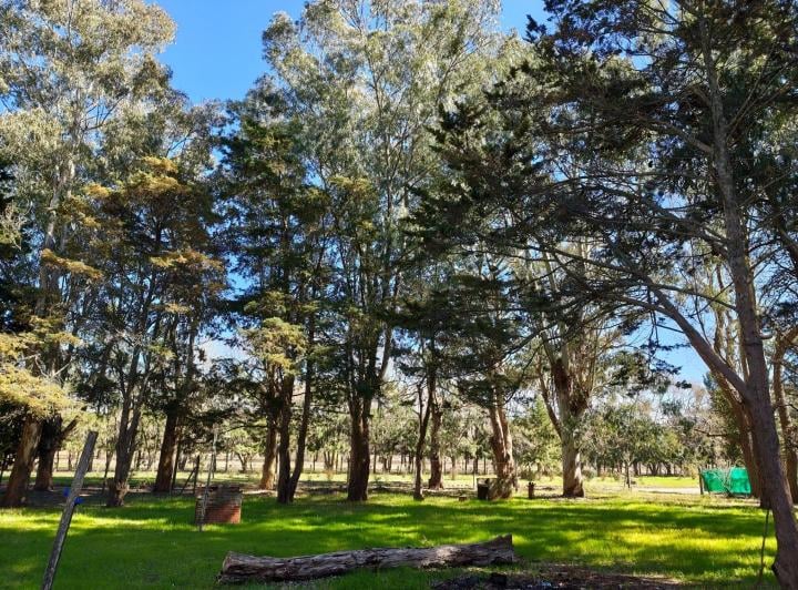 Terreno · 5989m²