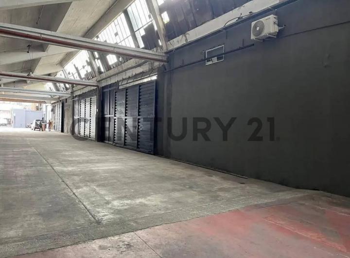 Bodega-Galpón · 300m²