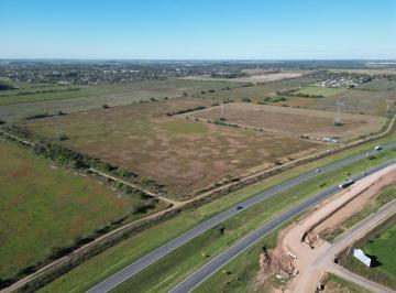 Campo · 540000m² · Campo, 54 Ha Roldán