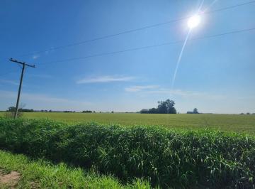 Campo · 53394m² · Campo 5,3 Ha a 27 Km de Rosario (Arroyo Seco Limite con Gral Lagos)
