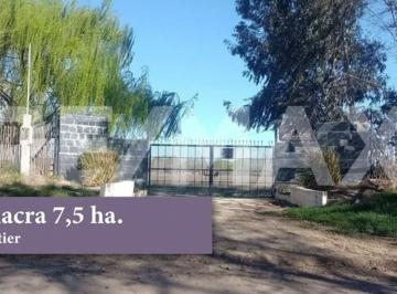 Campo · 8ha · Chacra 7,5 Ha con Brazo de Rio