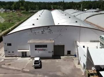 Bodega-Galpón · Alquiler - Nave Industrial - Vista Alegre