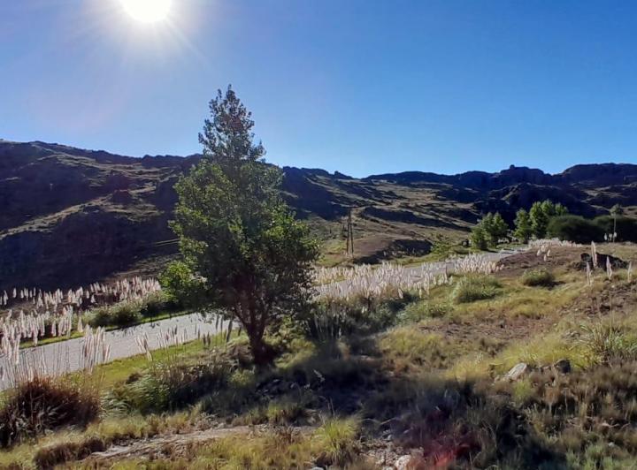 Campo · 320000m²