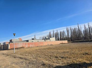Terreno , Plottier · Venta Lotes en Plottier