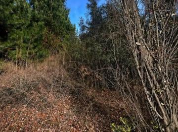 Terreno · 350m² · Lote 05 Barrio Abedules (Las Victorias)