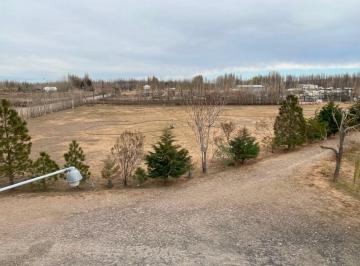 Terreno · 5500m² · Predio en Alquiler Parque Ind. Senillosa