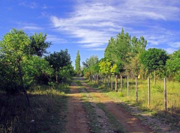 Terreno , Cortaderas · Lote en Venta en Cortaderas