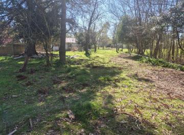 Terreno , Brandsen · Venta de Terrenos en Gomez, Escritura Perfecta