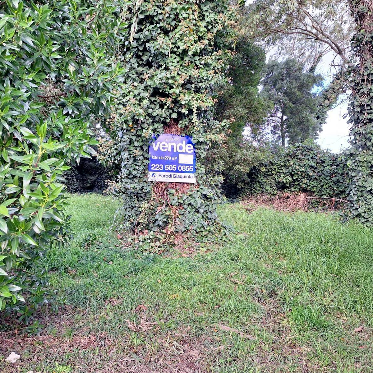 venta! lote en Las Margaritas, 279m² sobre calle Los Tulipanes