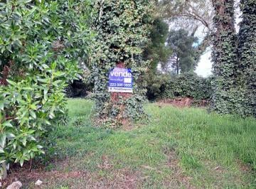 Terreno · 279m² · ¡Venta! Lote en Las Margaritas