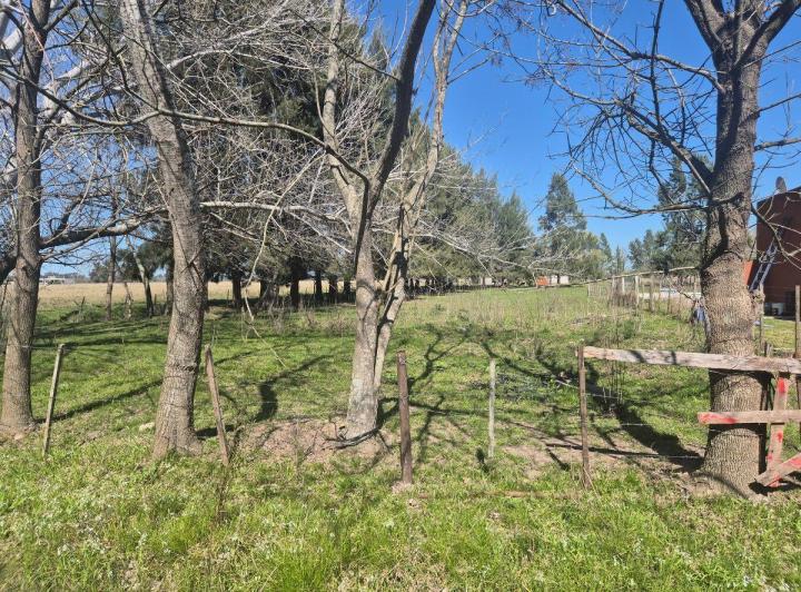 Terreno · 1040m²