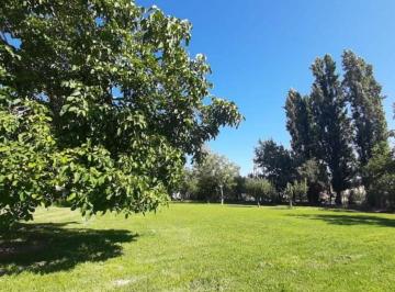 Terreno de 15 ambientes, Rodeo de la Cruz · Venta de Propiedad Comercial/industrial/vivienda – 3.500 m² – Salida a 3 Calles