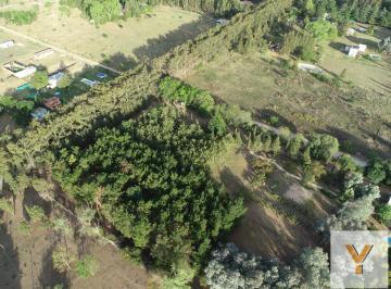 Terreno · 700m² · Terreno en Venta - 700 m² - Las Casuarinas, Abasto, La Plata