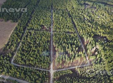 Terreno · 2500m² · Oportunidad Terreno en Comarca Andina