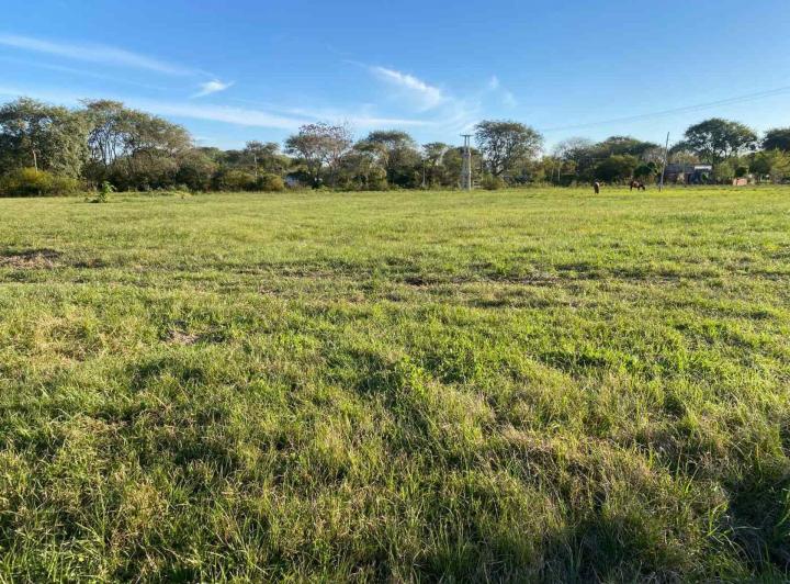 Terreno · 980m²