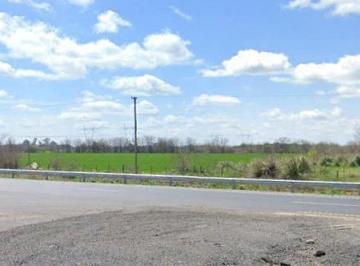 Campo · 1400000ha · Campo en General Las Heras - Provincia de Buenos Aires