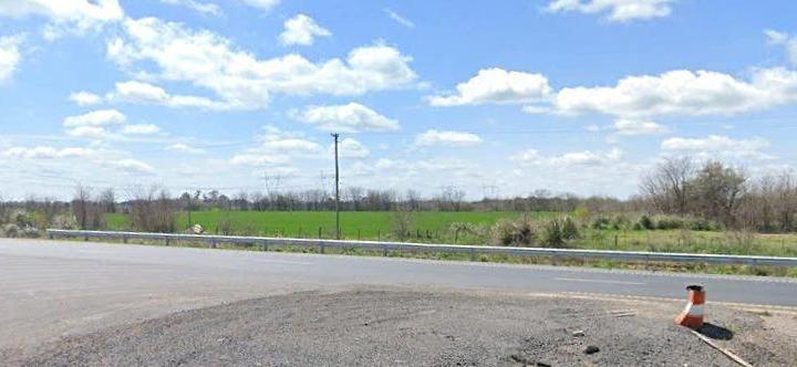 Campo · 140ha