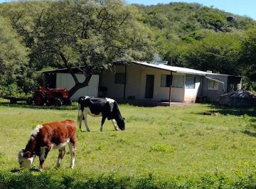 Campo · 70m² · 1 Ambiente · Vendo Campo 30 Hs y Casa con un Arroyo Propio en Tulumba!