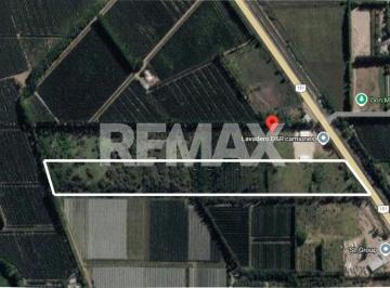 Campo · 6ha · Venta de Chacra en Cipolleti Sobre Ruta 151