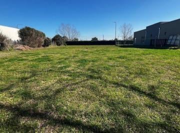 Terreno · 700m² · Lote en Venta Barrancas de Iraola
