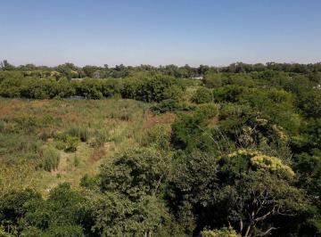 Terreno · 34800m² · Venta Hectáreas en Villa Elisa