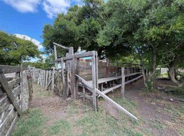 Campo · 100ha · Campo Venta Sobre Ruta 11 General Lavalle 392,6 Ha