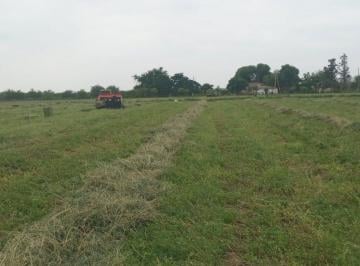 Campo · 30ha · Venta de Campo 30 Has en Villa del Soto Cordoba