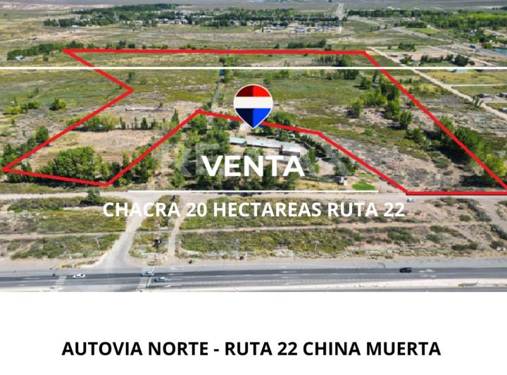 Campo · 20ha