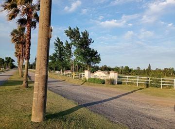 Terreno · 375m² · Venta de Terreno en Campiña de Piñero