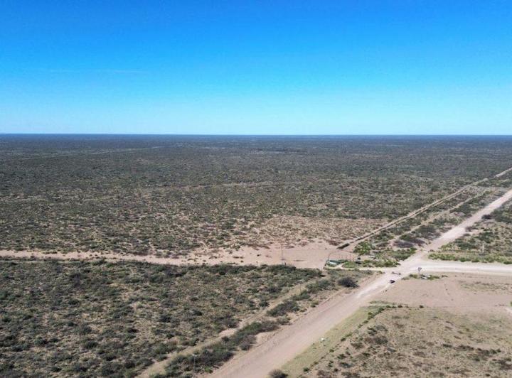 Campo · 5950ha