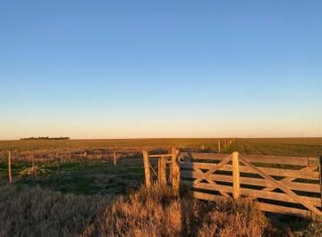 Campo · 15ha · Venta Campo Zona Carrindanga Bahía Blanca