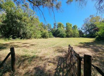 Campo · 7ha · Venta Campo Villa Ruiz Apto Rural o Turismo