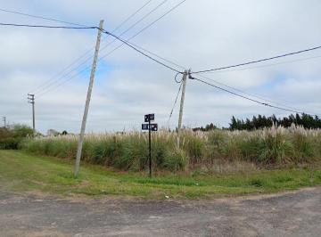 Terreno · 47500m² · Fraccion en Alquiler en Arana de 47.500 m²