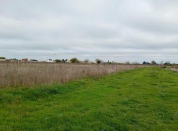 Campo · 6ha · Fraccion en Alquiler en Arana 60.000 m²
