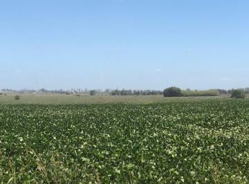 Campo · 54ha · Campo en Venta en Pergamino